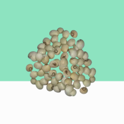 Abrus Precatorius White Seeds / White Rosary Pea