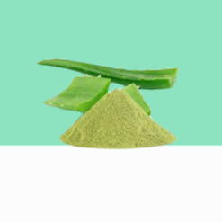 Aloe Vera Powder / Sothu Katralai Podi / Aloe Barbadensis Powder