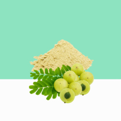 Gooseberry /Nellikkaiki Powder / Amla Herbal Powder / Amla Extract Powder