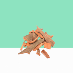 Bael Tree Bark / Vilva Pattai / Aegle Marmelos Bark