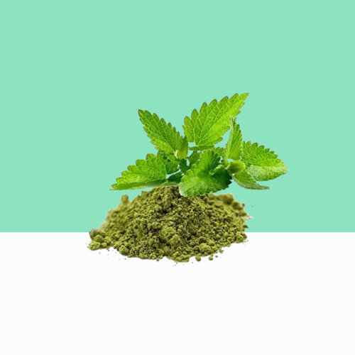 Basil Leaf Powder