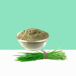 Bermuda Grass Powder / Arukam Pul Podi 1 kg