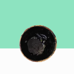 Black Bindi / Vengai Paal Pottu
