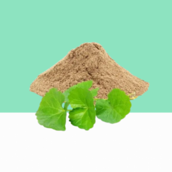 Brahmi Powder / Bacopa Monnieri Powder/ Neer Pirammi Podi