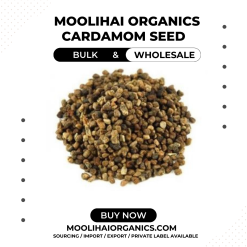 Cardamom Seed