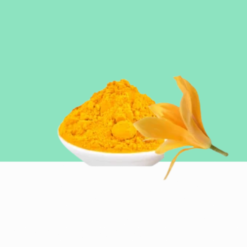 Senbaga Poo / Champak flower Powder 1 kg