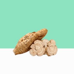 China Root / Parangi Pattai / Smilax Glabra