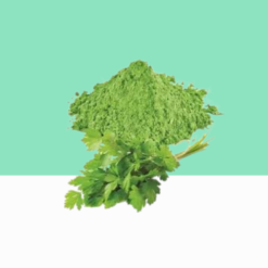 Coriander Leaves Powder / Kothamalli Ilai Podi