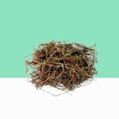 Country Gooseberry Root / Keezhanelli Ver
