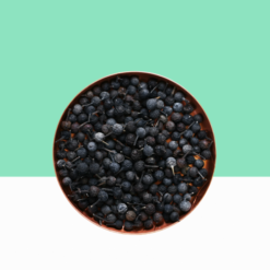 Cubeb Berries / Tailed Pepper