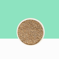 Cumin Seeds / Jeera