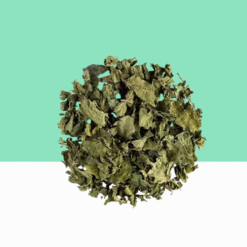 Dried Indian Nettle Leaves / Kuppaimeni ilai