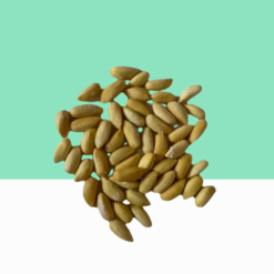 Dried Neem Seeds