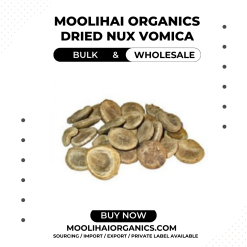 Dried Nux Vomica