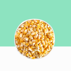 Dry Corn / Maize 1 kg