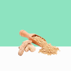 Dry Ginger Powder / Zingiber Officinale Powder / Ginger Extract Powder / Ginger Root Extract Powder