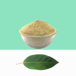 Fig Leaves Powder/ Aththi Ilai Podi 1 kg