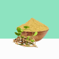 Giloy Powder / Tinospora Cordifolia Powder/ Seenthil Podi