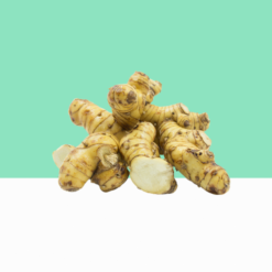 Greater Galangal Root / Alpinia Galangal Extract