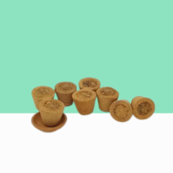 Herbal Sambrani Pack