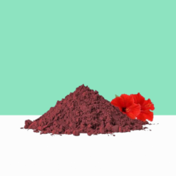Hibiscus Flower Powder  / Hibiscus Rosa Sinesis Gudhal Flower Powder 1 kg