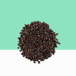 Abutilon indicum / Indian Mallow seeds