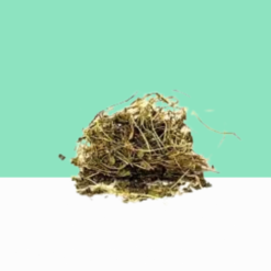 Indian Pennywort / Deva Centella asiatica / Gotu Kola Centella Asiatica/ Organic Gotu Kola