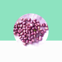 Jamun Seed (Jamblu) / Syzygium Cuminii Seeds