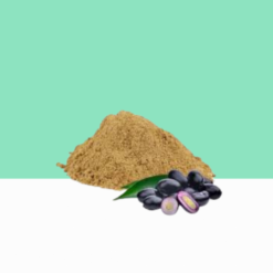 Jamun Seed Powder kg