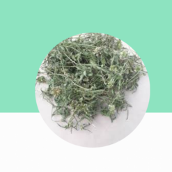 Leucas Dried flower / Thumbai Poo