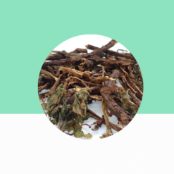 Malabar Begonia Root Dried / Sangu Narayana Sanjivi Ver