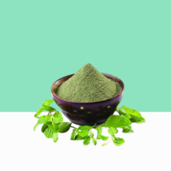 Mint Leaves Powder 1 kg