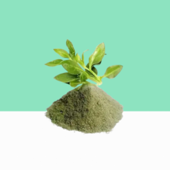 Nelavemu/ Kariyat / Chiratta Powder 1 kg