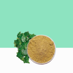 Nightshade Leaf Powder 1 kg