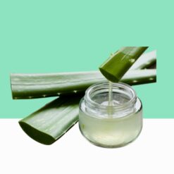 Organic Aloe Vera Gel 1 kg / Aloe Barbadensis Gel