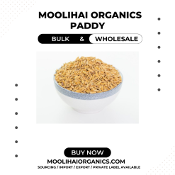 Paddy 1 kg