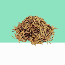 Pala indigo (Wrightia tinctoria) Seeds / Holarrhena Antidysenterica