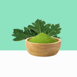 Papaya Leaf Powder 1 kg