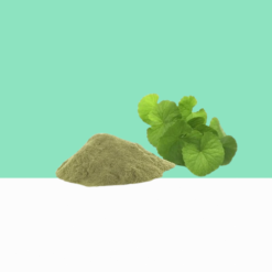 Pennywort Leaves Powder / Organic Gotu Kola Powder  / Gotu Kola Extract Powder 1 kg