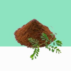 Phyllanthus Niruri Powder 1 kg