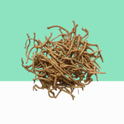 Punarnava Root / Saranai Ver