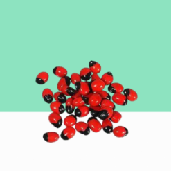 Rosary Peas / Abrus Precatorius Seeds