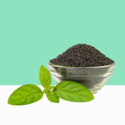Sacred Basil Seeds / Thulasi Vithai/ Ocimum Sanctum Seeds