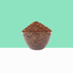 Sacred Fig Dried Seed / Arasa vithai