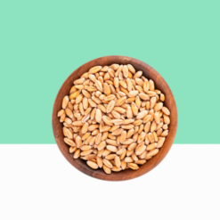 Samba Wheat 1 kg