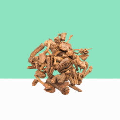 Sarasaparilla Root / Nannari 1 kg