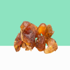 Silk Cotton Tree Gum / Mochras Gum