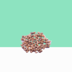 Siruli Seeds