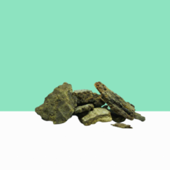 Banyan Tree Bark Dried / Slender Dwarf Bark / Aalam Pattai