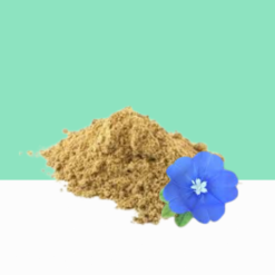 Slender Dwarf Morning Glory / Evolvulus Alsinoides Powder/ Vishnu Kiranthi Powder 1 kg